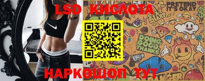 стаф Пенза