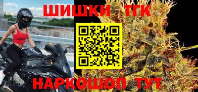 стаф Пенза