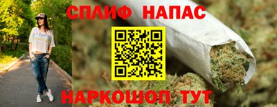 стаф Пенза