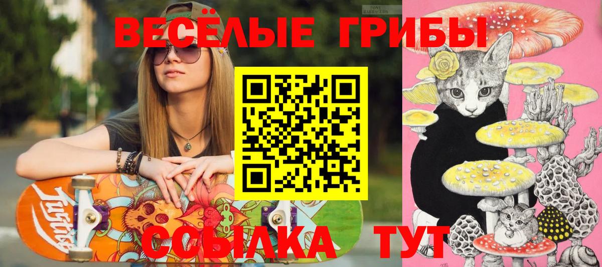 Галлюциногенные грибы Psilocybine cubensis Урус-Мартан